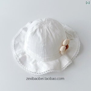 Ԃp@Xq@킢  y X^C ~ xr[ Xq    Ԃ Tnbg 傫  Ăh~  1 Oop