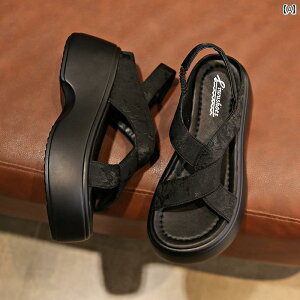 fB[X@Xbp@T_ p 7 cm g T_ 2025  TCY 3334 Xebv Vbg  `Ci EFfBO r[` V[Y