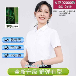 ���V���c�@���f�B�[�X�@���ꂢ�� �t�� �� �V���c ���� ���� �v�� ��ƒ� �t�H�[�}�� �t�B�b�g �Ȃ� ���� �h�~ �r�W�l�X ����