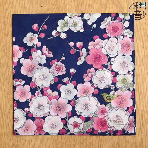 nJ`@nh^I a p nJ` Ȃ XNGA^I hJ   _炩 yY hJ ł܂