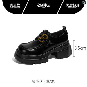 [t@[ fB[X V[Y FXSO Fangxiang{ v   X[ U[V[Y fB[X 2024 t V p  \   [t@[ fB[X