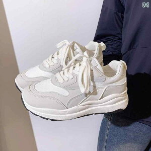 fB[XV[Y Xiaobai Xj[J[ p 2024 t H V lC y tHXg V[Y  ꂨ  C  pr jO V[Y