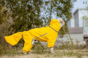  CR[g ^  ybg ^  l{  I[CN[Vu CR[g t[h e[ h uh[ nXL[ bgC[ S[fgo[