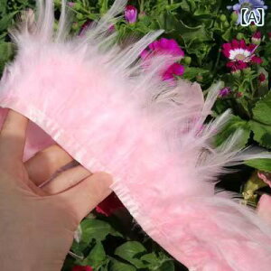 ANZT[ f DIY H ^bZ `bv `L tFU[ z [ ߗ ANZT[ t@bV fUC WG[ANZT[ ޗ | J[