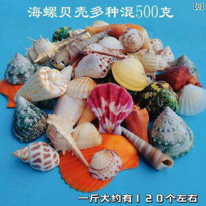 アクセサリー 素材 天然 貝殻の 巻き貝の 立体的な 貝殻の 花の アクセサリー DIY 手作り アクセサリー 子供の 手作り 材料