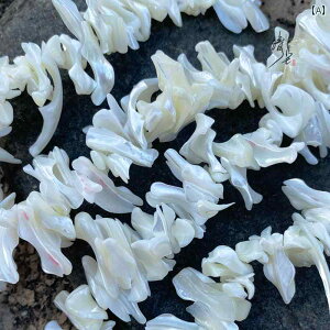 ANZT[ f VR n ` L Xgbv  GbW  L H| i  Xy[T[ r[Y y_g DIY WG[ANZT[