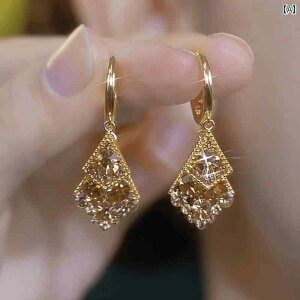 イヤリング レディース S 925 シルバー ダイヤモンド ジルコン イヤリング レディース 2024 新しい ホット スタイル ライト ラグジュアリー ニッチ ハイ エンド 多 用途 イヤリング イヤー バッ