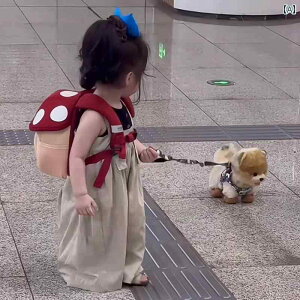 qpbN ct XN[ obO ̎q LmR obO 킢 q ̏d 炷 w ی  obN pbN 1N y