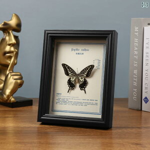 tHgt[  z [bp   W{ t[  ؐ tHgt[ e[u  DIY  KX fBXvC t[