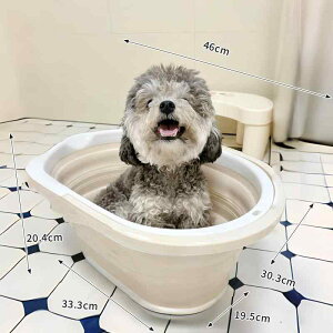 poX^u h[p~ p oX^u ܂肽  |[^u ^E ^ E Lp ybgp jo[T oX^u ^ oX^u