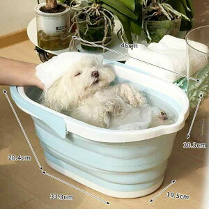 poX^u h[p~ p oX^u ܂肽  |[^u ^E ^ E Lp ybgp jo[T oX^u ^ oX^u