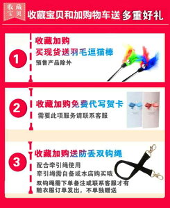 LpobO L XEFbgVćA ybg ꏏ s  Ƃ L  ^ ̂ gp łA H ~ xxbg|[` L  ^ ̂ gp ł܂B