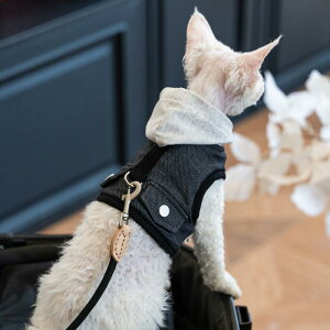 LpobO Ren Facai Lv AEghA L U JE{[C t[h t `FXgn[lX f{ wAX L  [v `FXgn[lX