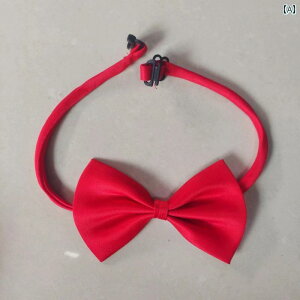 qlN^C qp ct p j̎q ̎q wZ A  lN^CA wp ݁A ԕA ptH[}XA C bhA lN^C  \