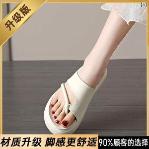 fB[XT_ p t`X^C r[` T_A 2025N Ă VA t@bViu  A ~߁A r[`p [} T_B