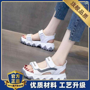 fB[XT_ L   fB[X Ch bO T_B AEghAA r[`A 2025N Ă̐V X^CA Dwp ~ y X|[c Xbp KĂ܂B