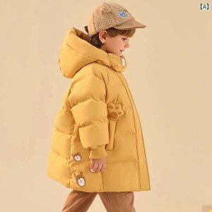 qp_EWPbg 2025N V qp ~h  _E WPbg xr[  g j̎q ̎q zCg_bN_E 3 v[t t@bV WPbg