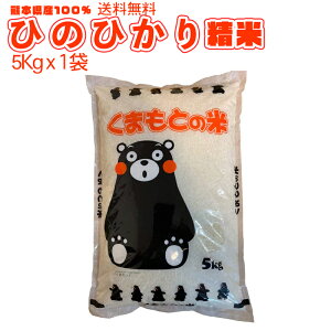   F{Y Ђ̂Ђ 5kg×1 F{Yy󒍌㐸āzynz