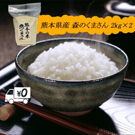 【地元応援企画】令和5年新米 送料無料 熊本のおいしいお米 森のくまさん 2kg×2 合計4kg 熊本県産100%