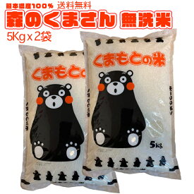 令和5年産 お米 10kg 送料無料 熊本県産 森のくまさん 5kgx2袋 合計10Kg(無洗米) 令和5年 白米 精米 ギフト 粗品 プレゼント お祝い【地元応援企画】