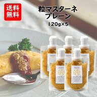 マスターネ プレーン 120g×5パック 無添加 粒マスタード 酢と蜂蜜のやさしい酸味 日本製 パウチタイプ …