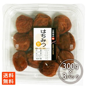 IBn썂~݂͂ 5 300g×3pbN e  |Cg