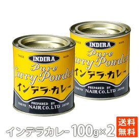 インデラ カレースタンダード ナイル商会 カレーライス スパイス 100g ×2 カレーパウダー 送料無料 ポイント消化