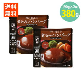 煮込みハンバーグ デミグラスソース 190g×2袋 開花亭 送料無料 ハンバーグ レトルト デミグラス ハンバーグ レンジ