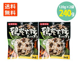 鶏炭火焼おにぎり120g×2袋 賞味期限2024.5.23 宮崎名物 日向屋 レンチン お手軽 主食 間食 常備 常温保存 送料無料