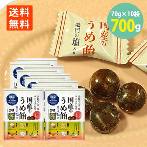 Ŷ߈ 70g×10 ̉  F sgp a̎R 썂~ GLX  ~  ~  ߉ ~ Y ޗ S