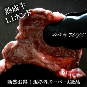 yʌ QI3グƂ1v[gzyV1 fR n [X Xe[L u[X sXe[L X[p[Ai 1.1|h i100g4`5v500gj 