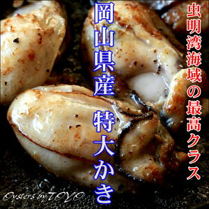 RY 傩 3L y Ⓚ 1Kg ނg (𓀌800g/25O) JL  YHi  Mtg  ܂ 2`  Ⓚۑ2ȏ