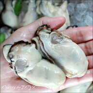 岡山県産 特大かき 超希少3L 牡蠣 冷凍 1Kg むき身 (解凍後800g/25粒前後) カキ かき 無添加食品 高級 ギ…
