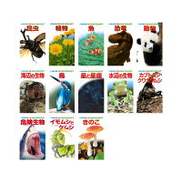 小学館の図鑑NEOポケット (既13巻) 23年