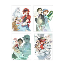 TVアニメ はたらく細胞!! 全巻 1-4 DVD セット