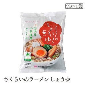 炢̃[ 傤99g 
