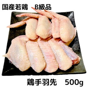 { H 500g(250×2) Y Y{ { 󂠂 P Bi WCg ECO Ƃɂ  Ƃ Ⓚ Ɩp z1~ȏ 