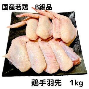 { H 1kg Y Y{ { 󂠂 P Bi WCg ECO Ƃɂ  Ƃ Ⓚ Ɩp z1~ȏ 