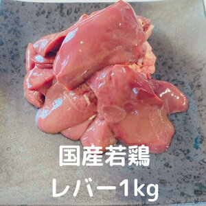 o[ 1kg Y { n[gȂ Ⓚ Y{ Ɩp { @Ƃɂ z1~ȏ㑗