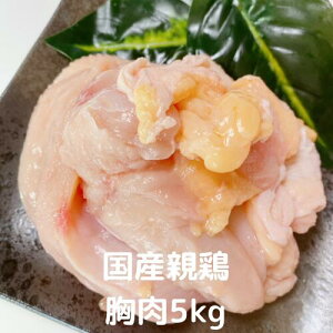 e{  5kg Y Y{ e Ђ˒  { Ɩp@Ƃɂ  Ƃ Ⓚ