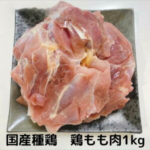 {  1kg Y Y{ e e{ Ђ˒ Ɩp {  Ƃɂ  Ƃ z1~ȏ㑗