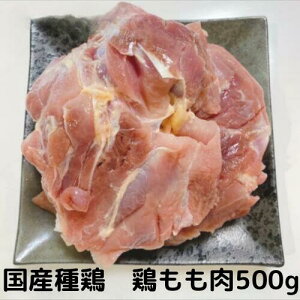 種鶏 もも肉 500g(250×2) 国産 国産鶏 親鳥 親鶏 ひね鳥 業務用 鶏肉 もも肉 とりにく 鳥肉 とり肉 総額1万円以上送料無料