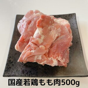 {  Y 500g(250×2) ᒹ Ⓚ Y{ Ɩp {  Ƃɂ z1~ȏ㑗