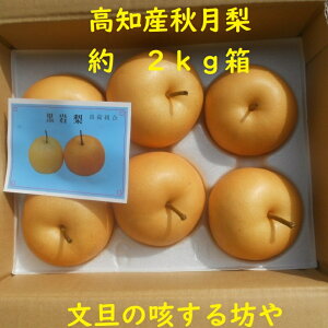 yzmY@@2kgi킨CBʁ@ƒp@5`7ʓ@kĆA1000~S肢܂B8͂܂莟攭܂B
