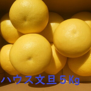 yzmY@nEXU@5kg@U@ƒp6`12ʓ@yU@kĆA11300~A21900~̂S˂܂B