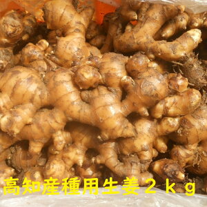 yz@mY@pHp͂I@2kg@퐶I@i@y@kĆA1000~S˂܂B