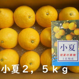 【送料無料】高知産　ハウス小夏　約2，5Kg　サイズLです。エコ段ボール入りです。　ニューサマーオレンジ　日向夏　　北海道沖縄発送1000円のご負担お願いいたします。