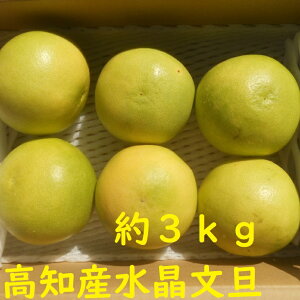 yzmY@󂠂萅U@@ƒp@2C7`3C0Kg@nEXU@ʐC5~11ʑO@GRi{[@kC͑1300~̂S肢܂B