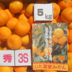 山北みかん」の人気商品一覧・価格比較 - 価格.com