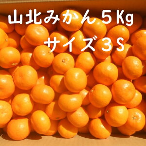 yzyɂwsz@󂠂Rk݂(O[j@5kg@ʃTCY@3SA2S@ƒp@ɑA݂@승20@kĆA11300~21500~S˂